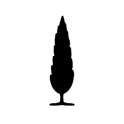 Villa BUCCIANO - Siena